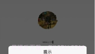 Mint举报助手V1.7截图