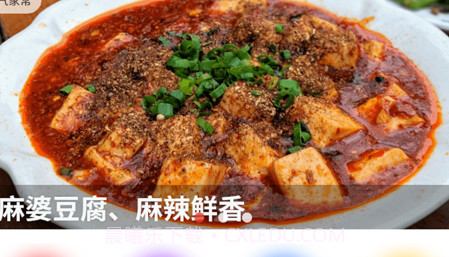 烹饪大厨v1.13截图