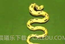 长蛇盘绕v1.15截图