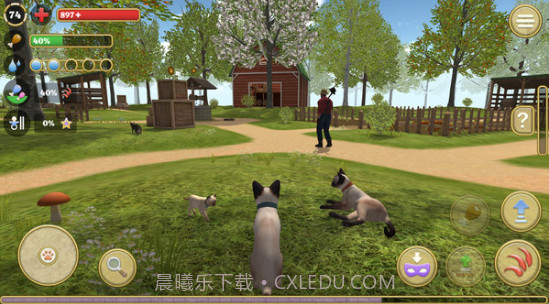 快乐猫猫传1.0.3截图