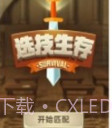 选技生存大乱斗v1.12截图