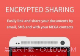 megav1.11截图
