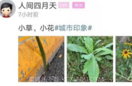 安州生活v1.0.15截图