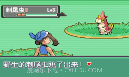 口袋妖怪暗之冰花中文版v3.0.11截图