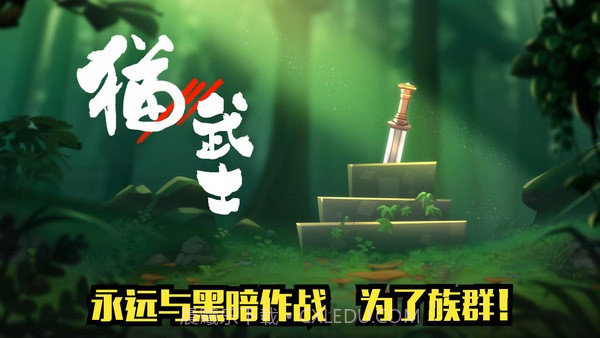 猫武士1.13截图