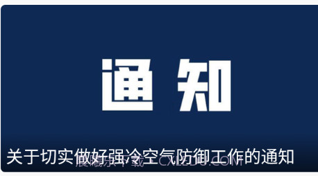 龙港在线v1.0.16截图