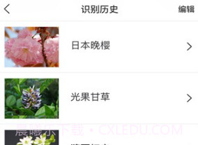 识花大师v1.2.12截图