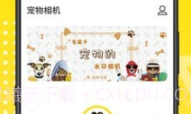宠物动漫相机v3.11截图