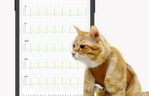 星爱宠健康管理v01.00.00.8截图