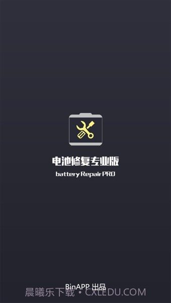 电池修复专业版v2.45截图