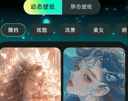 大众免费壁纸v1.13截图