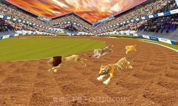 疯狂丛林动物竞速1.12截图