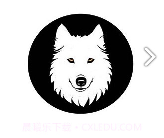 小狼直通车(小狼直通车礼包码)V2.5.02 安卓手机版V2.5.13截图