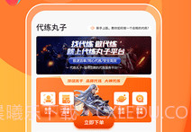 代练丸子v1.0.16截图