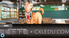 里娜爱情故事v1.10截图