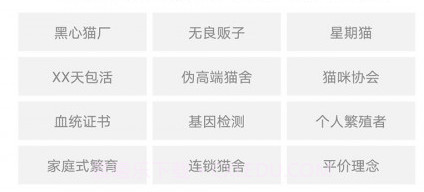 家连猫舍v1.1.14截图