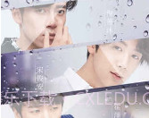 你好先生们手游v2.12截图