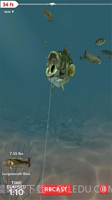 真实3D钓鱼APP3.15截图