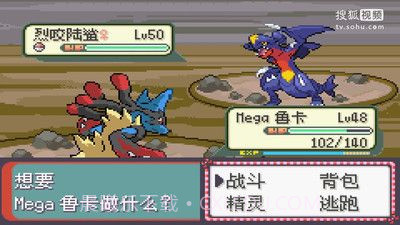 口袋妖怪永恒之沫3.0续版金手指v4.5.10截图
