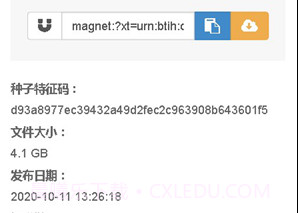 无极磁链媒体导航v1.11截图