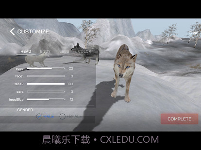 wolf online 2v1.12截图