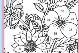 数字填色书最新v2.0.11截图