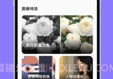 大杏匣子v1.0.13截图