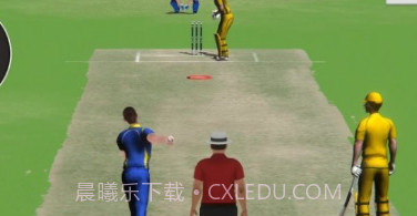 板球比赛冠军3Dv1.15截图