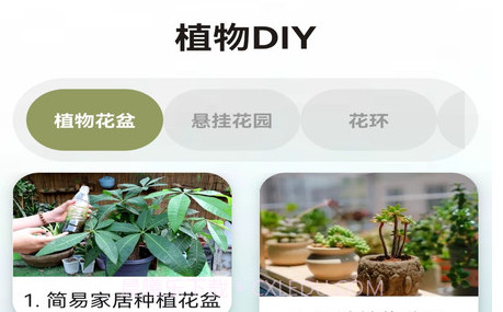 植物小伙伴v1.0.14截图