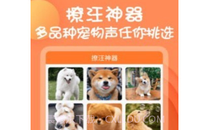 狗狗交流器v1.0.17截图