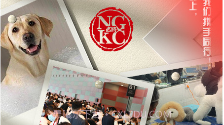 名将宠美v1.0.18截图