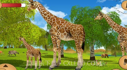 长颈鹿模拟器v4.17截图