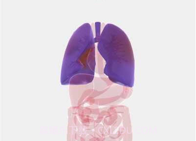 生命人体模拟器中文版v1.0.13截图