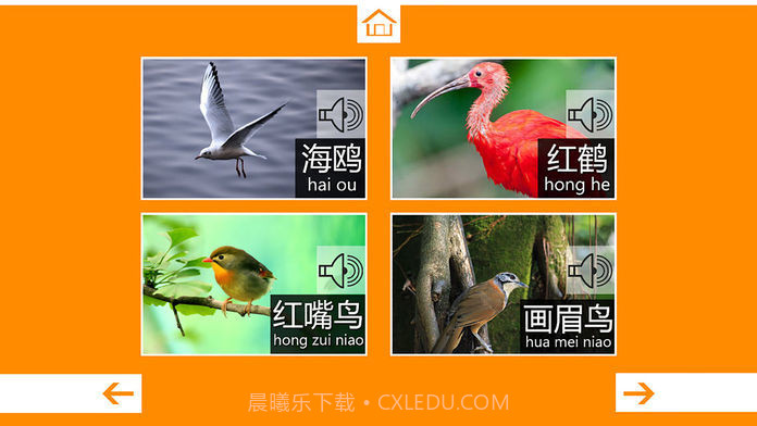 动物叫声最新版1.18截图
