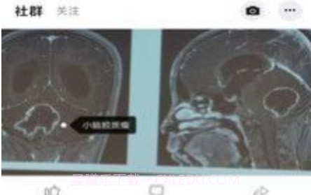 狄普医生病人端v2.3.17截图