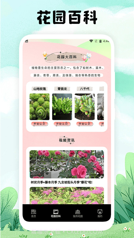 万物识图官网版1.1.2截图