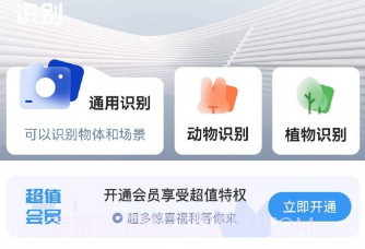 问夏扫描v1.0.11截图