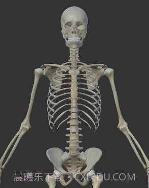 解剖大师v3.8.12截图