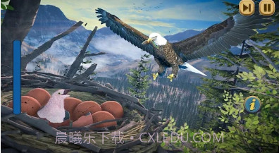 飞行老鹰模拟器v1.0.16截图