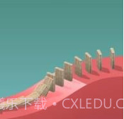 多米诺v1.19截图
