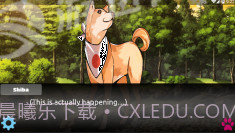 里娜爱情故事手机版1.4截图