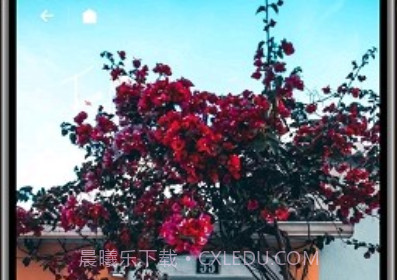 纸塘壁纸高级版v1.6.23截图