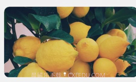 柠檬趣看v2.0.15截图