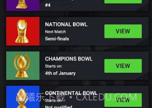 橄榄球战斗v1.0.21截图