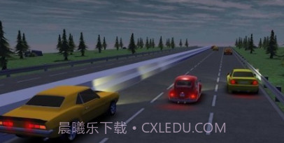 疯狂的赛车司机v0.22截图