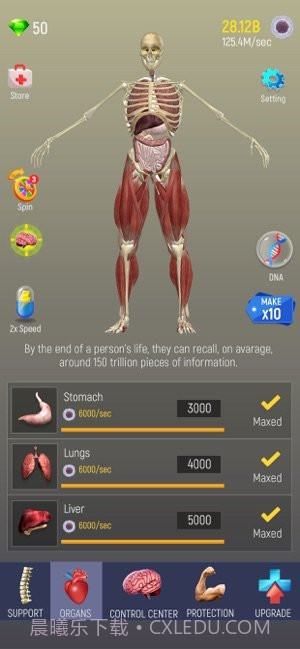 放置人类v1.3.21截图