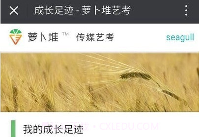 萝卜堆艺考v1.22截图