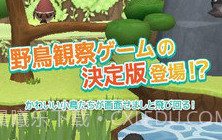 小鸟观察器V3.1.17截图