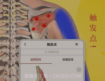 3d人体模型v2.0.18截图