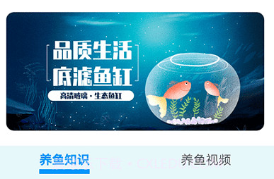 我爱养鱼V1.15截图